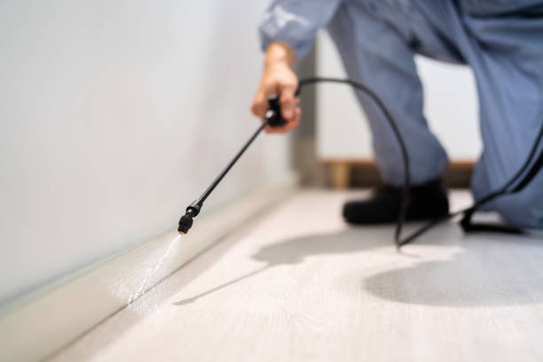Licensed Termite Control service in Calexico, CA - Nex Pest Control