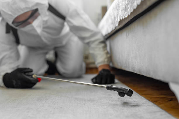 Professional Termite Control technician working in Calexico, CA