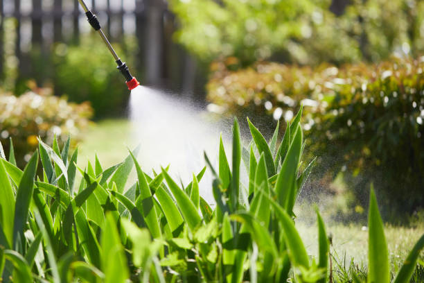 24/7 Emergency Termite Control experts in Calexico, CA